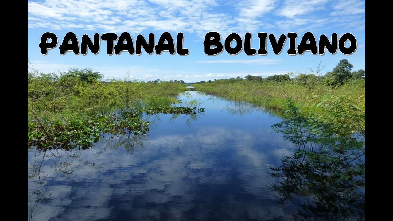 10 Datos interesantes del Pantanal Otuquis