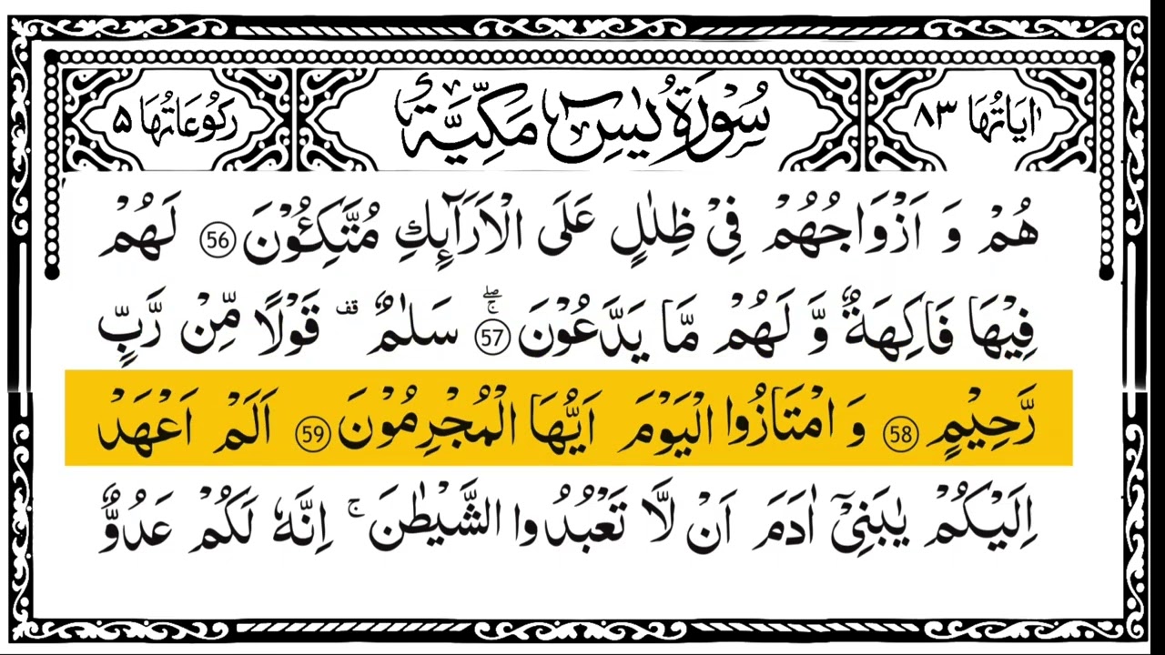 Surah yasen Surah Rahman surah mulk and surah waqiah calming recitation peaceful voice Ala'a Aqel 