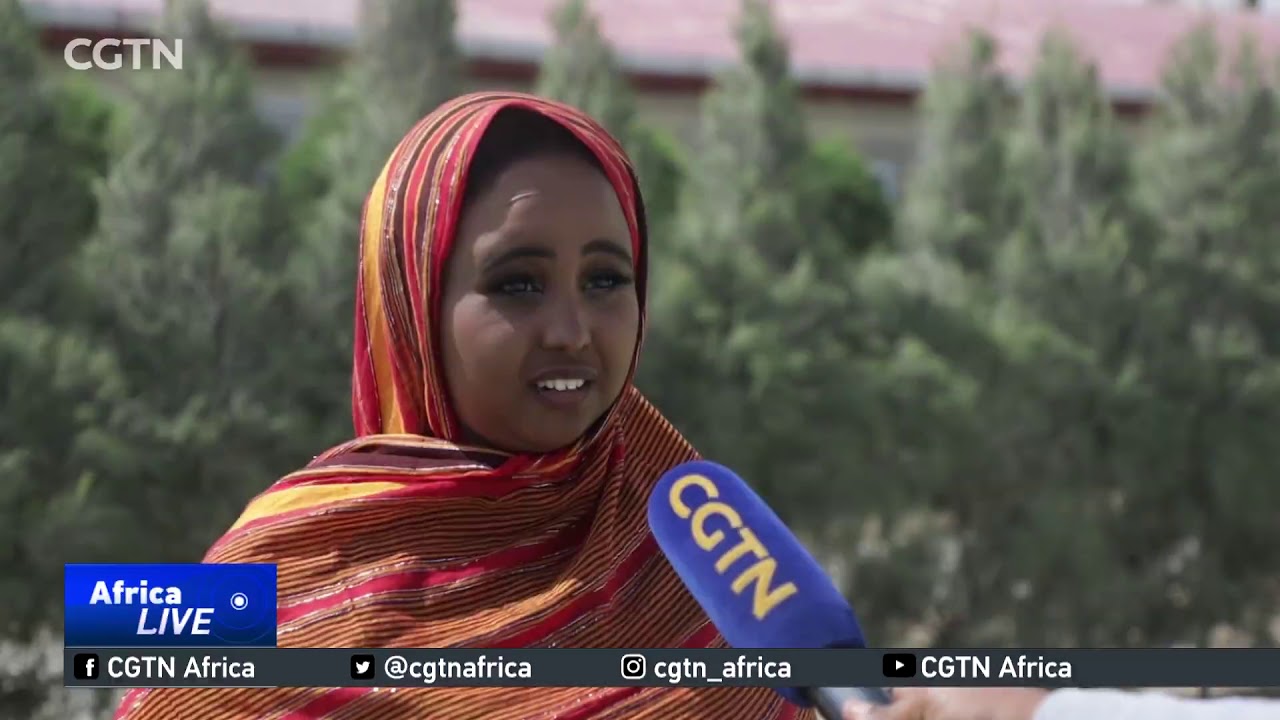 Month-long event engages artists, public in Somali culture dialogue