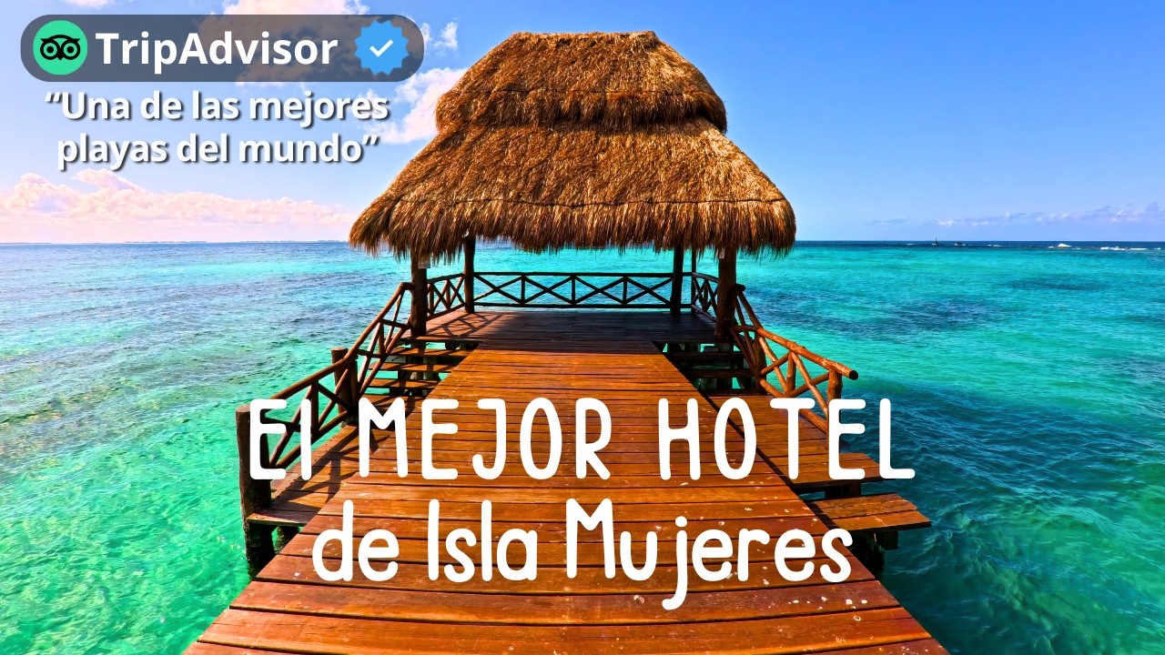 El lugar IDEAL para este VERANO en Isla Mujeres 🌴 (Mía Reef)