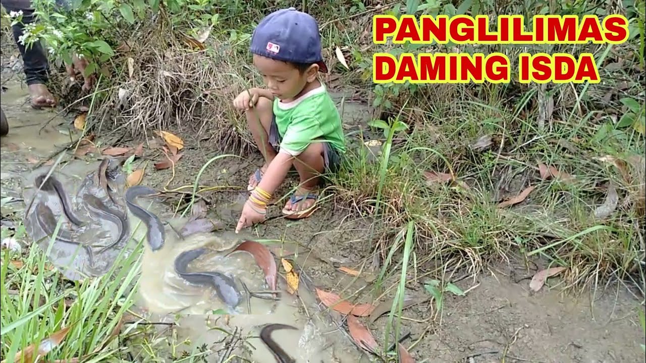 PANGLILIMAS SA TABI NG PALAYAN ANG DAMING ISDA