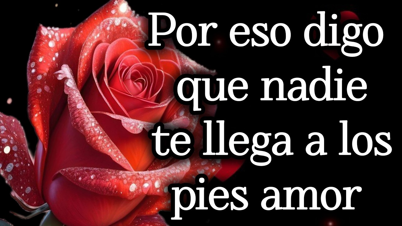 Por eso digo que nadie te llega a los pies