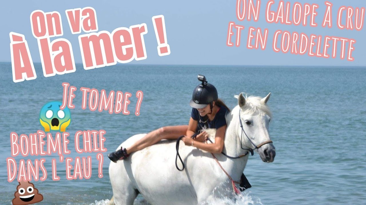 ON VOUS EMBARQUE À LA PLAGE 🦀 ⛱️ BOHÈME FAIT CACA DANS L'EAU ? 💩 JE TOMBE ?