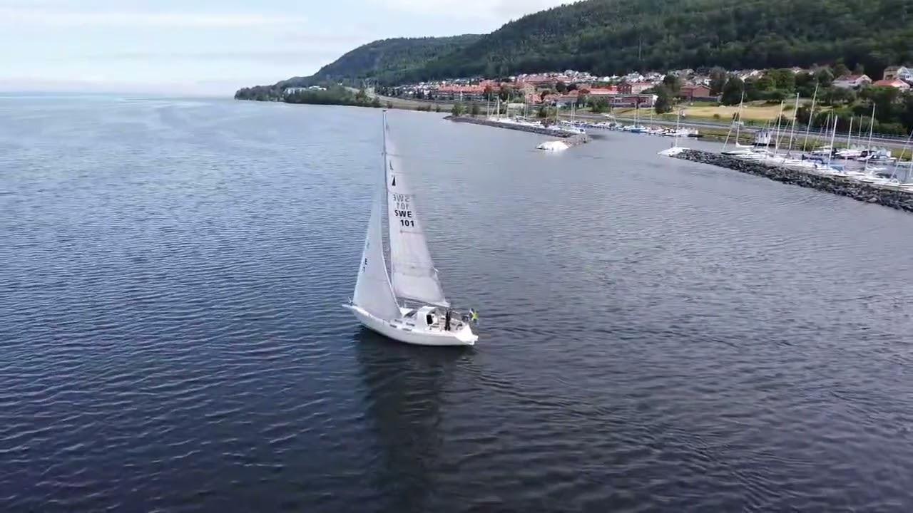 Albin delta