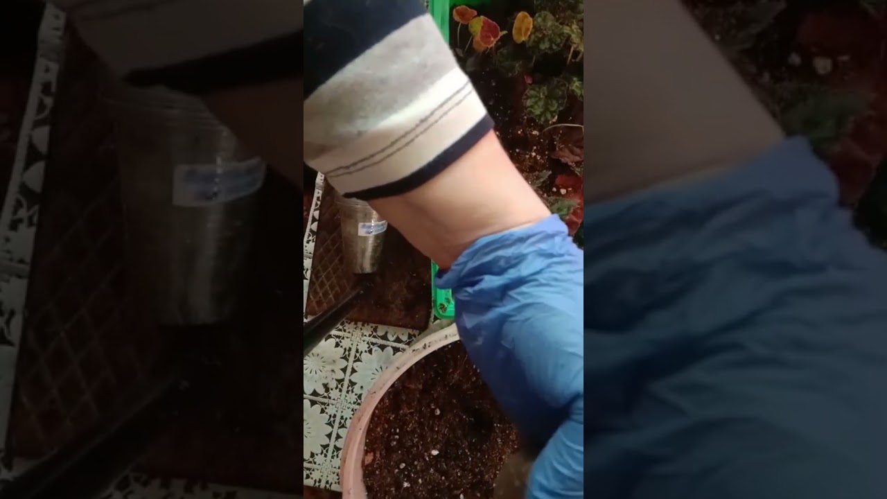Цветочные будни🌱🌱🌿