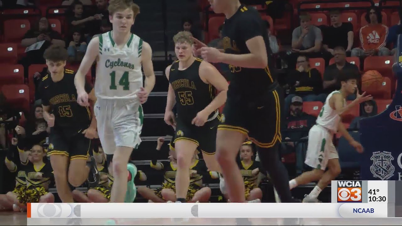 Tuscola basketball takes third in state, caps best season in school history