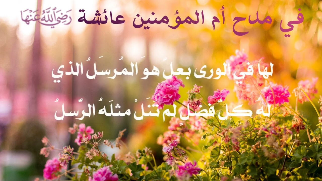 خليلي تحكيم النهى في الهوى جهل | محمد صدام السامرائي | حداء: عبد الله الهاشمي