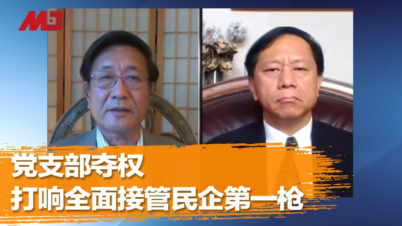程晓农 谢田：党支部夺权，打响全面接管民企第一枪