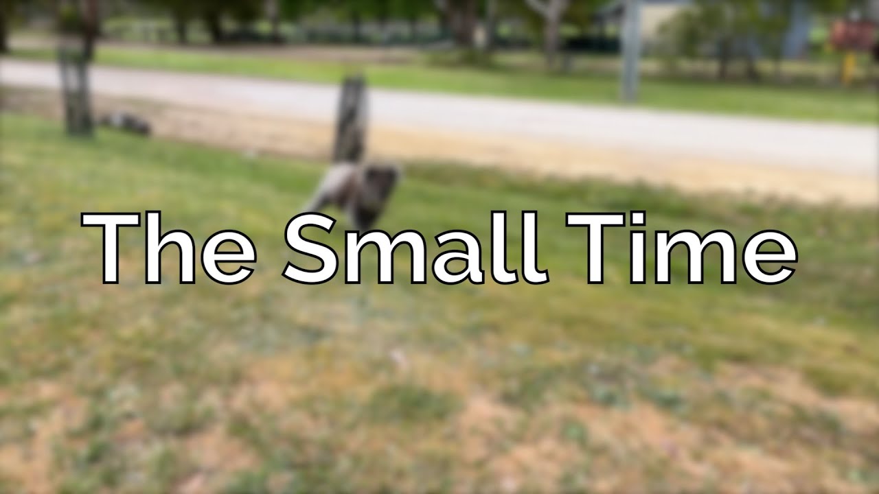 Vlog 200: Wildlife; Walking & Working on the Garden.
