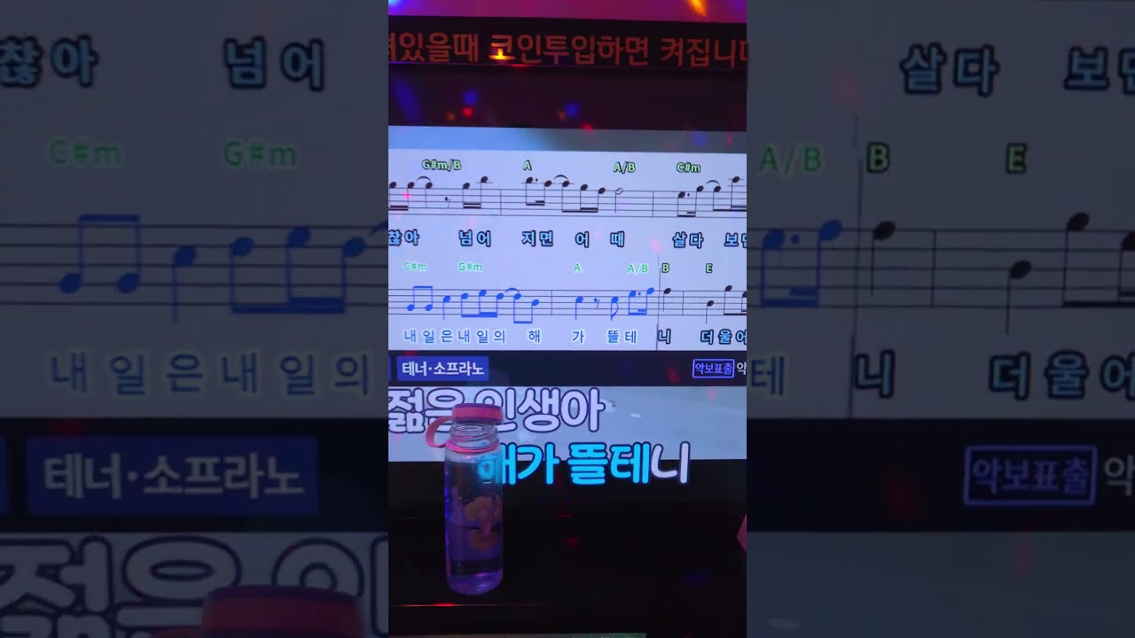 형(노라조)