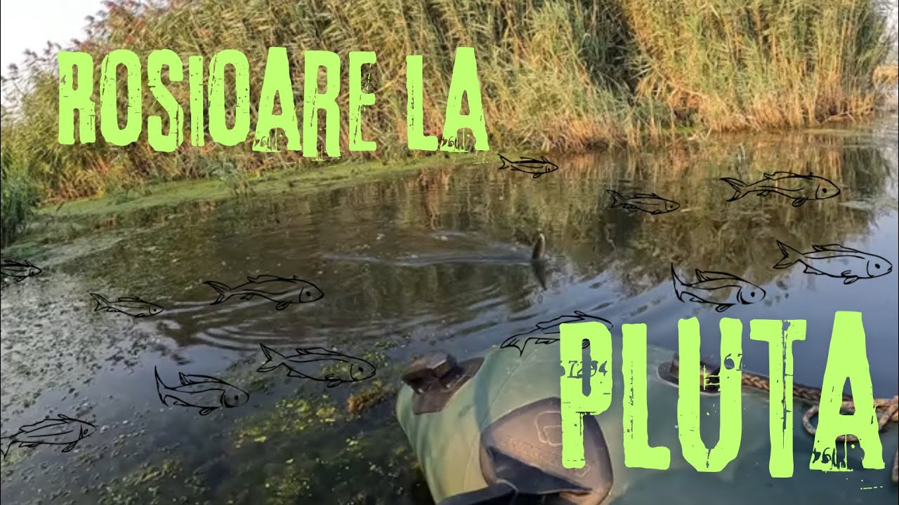 Pescuit la pluta rosioare si babusca 5 kg in doua ore🎣👀
