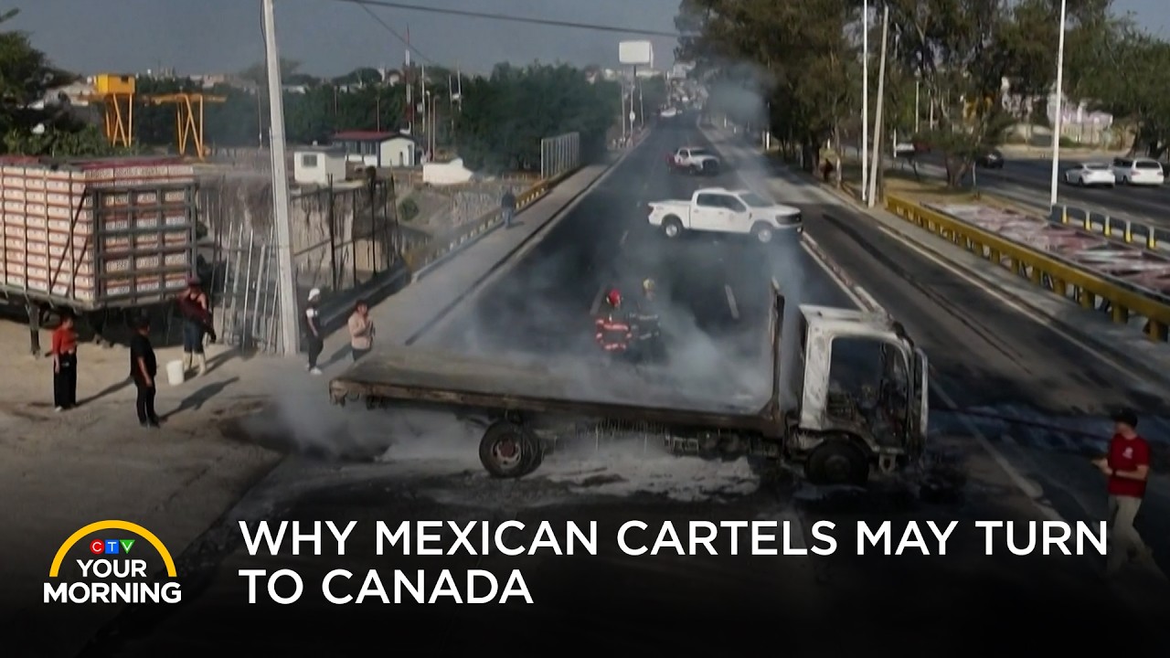 Why Mexican Cartels May Soon Turn to Canada | Your Morning
