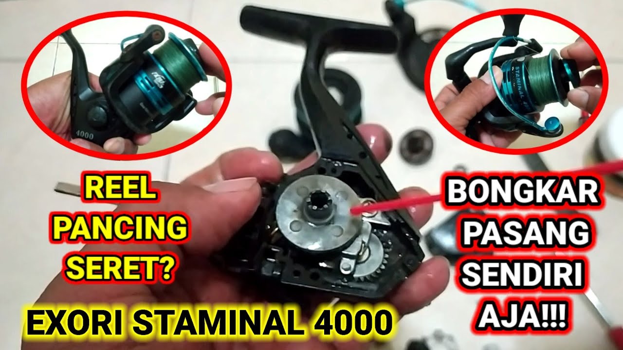 Cara Mudah Memperbaiki Reel Pancing yang Seret Sendiri | Bongkar Pasang Reel Exori Staminal 4000