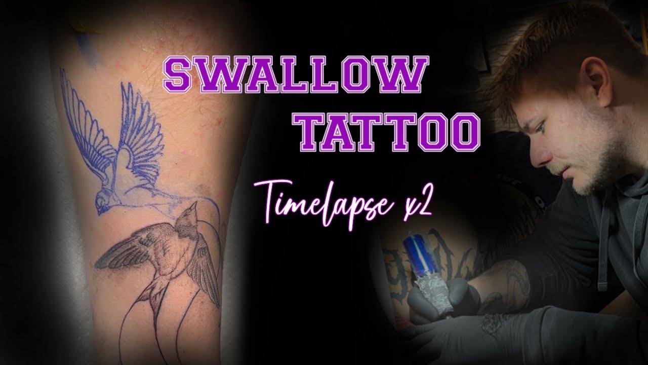 Swallow Tattoo Timelapse 2x