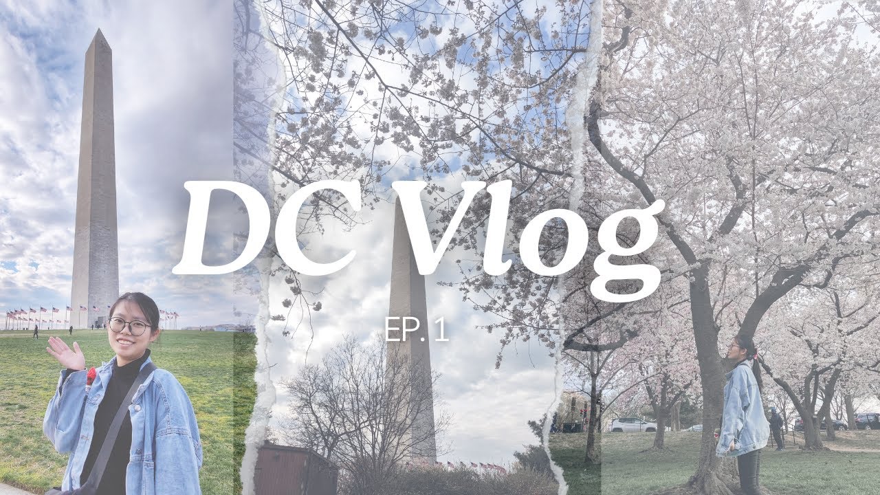 Wings Vlog | 2023 DC TRIP EP.1 | Washington DC | Cherry Blossom Festival