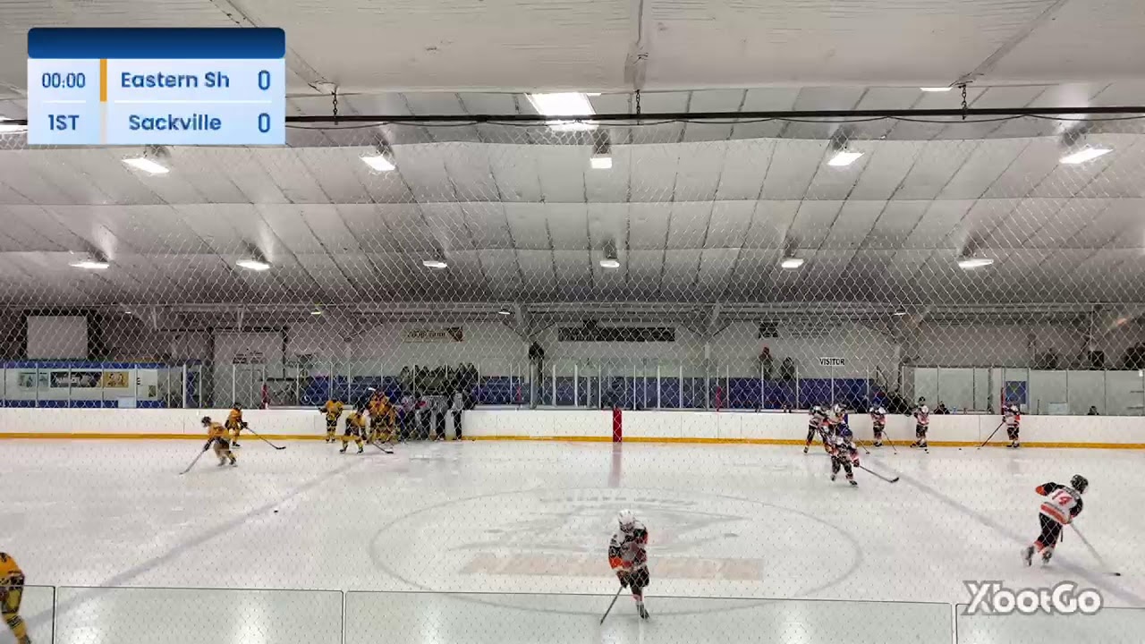 XbotGo Live Stream