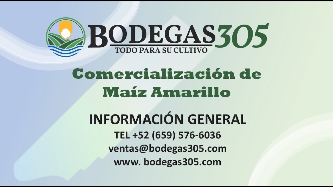 Comercialización y Almacenamiento de Maiz | Bodegas305