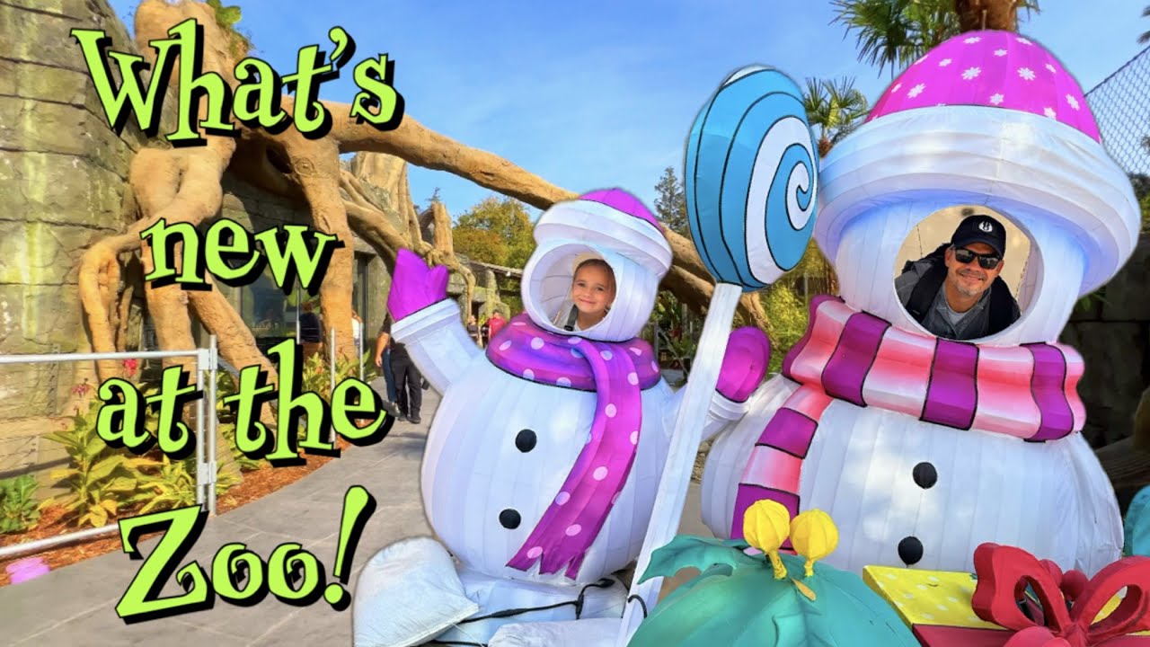 What's New At The Fresno Chaffee Zoo!