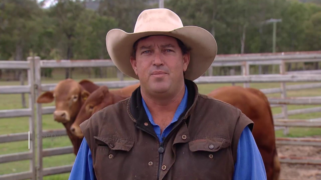 Strengthening Australia&rsquo;s red meat integrity system: LPA