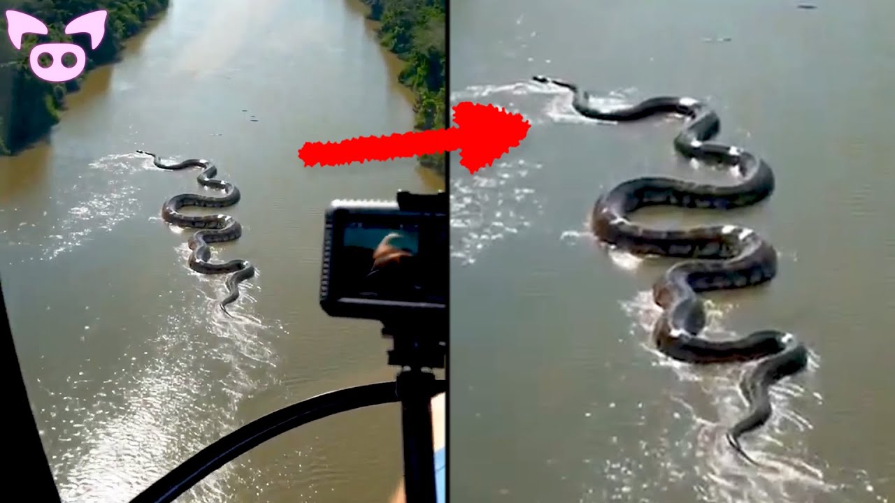 Top 10 Unexplained Events Caught on Camera