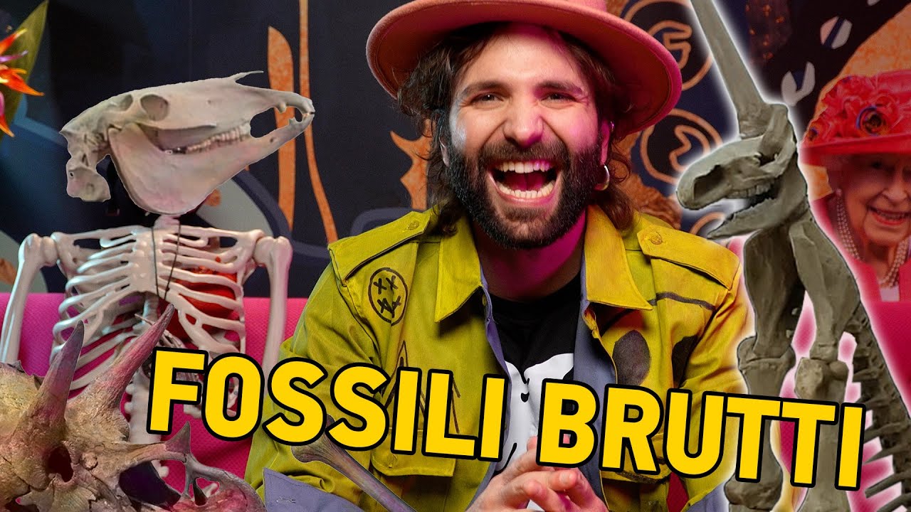 Fossili ricostruiti malissimo