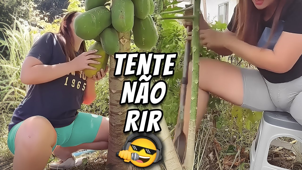 TENTE NÃO RIR 😂 ALGO ESCONDIDO NO MAMOEIRO VIDEOS ENGRAÇADOS E MEMES DA INTERNET