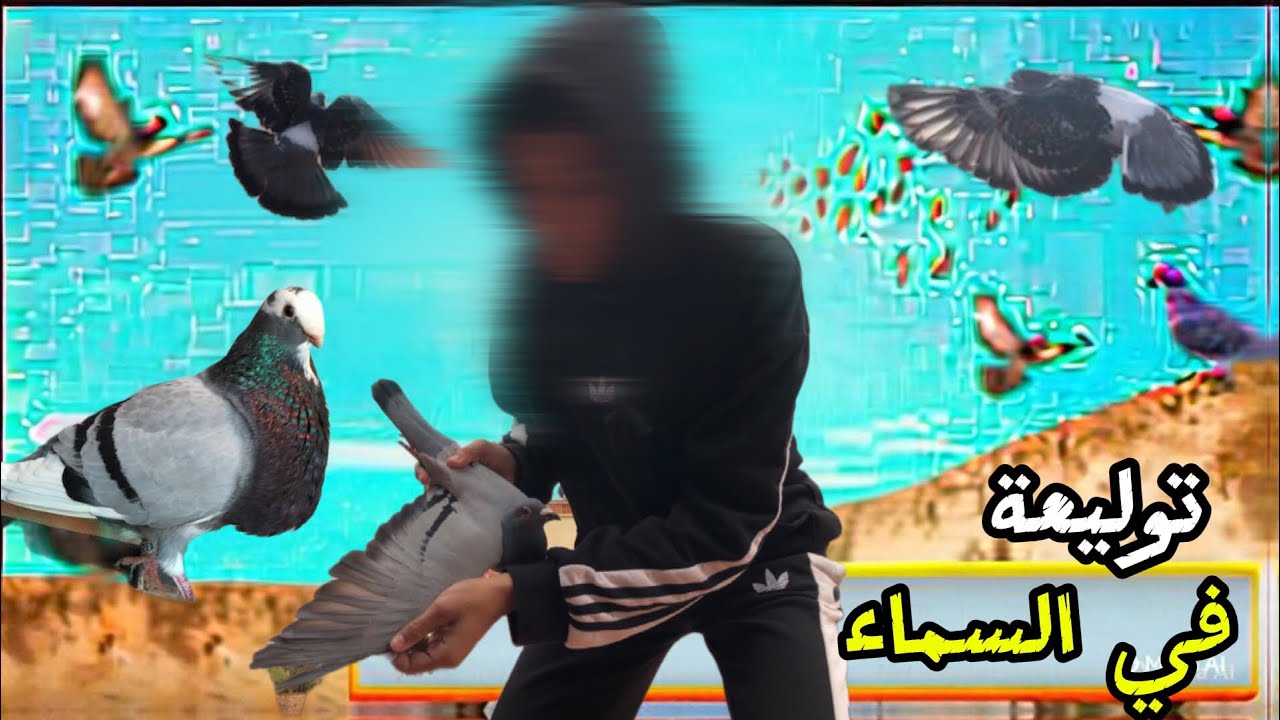 توليعة صباحية:توليعة في السماء 😱🕊️ولد السيفيانوس (ميسي) صدمني😱🤯
