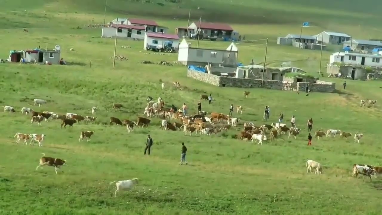 Ardahan, Damal, Ağyar yaylaları, Burmadere köyü. (Karip cankan çekimiyle )