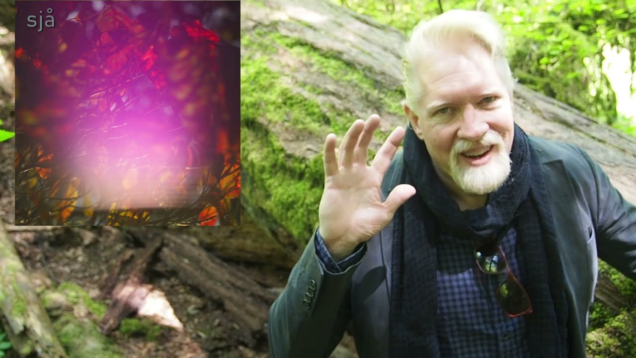 Reflecting on the Sjå album now that it is out