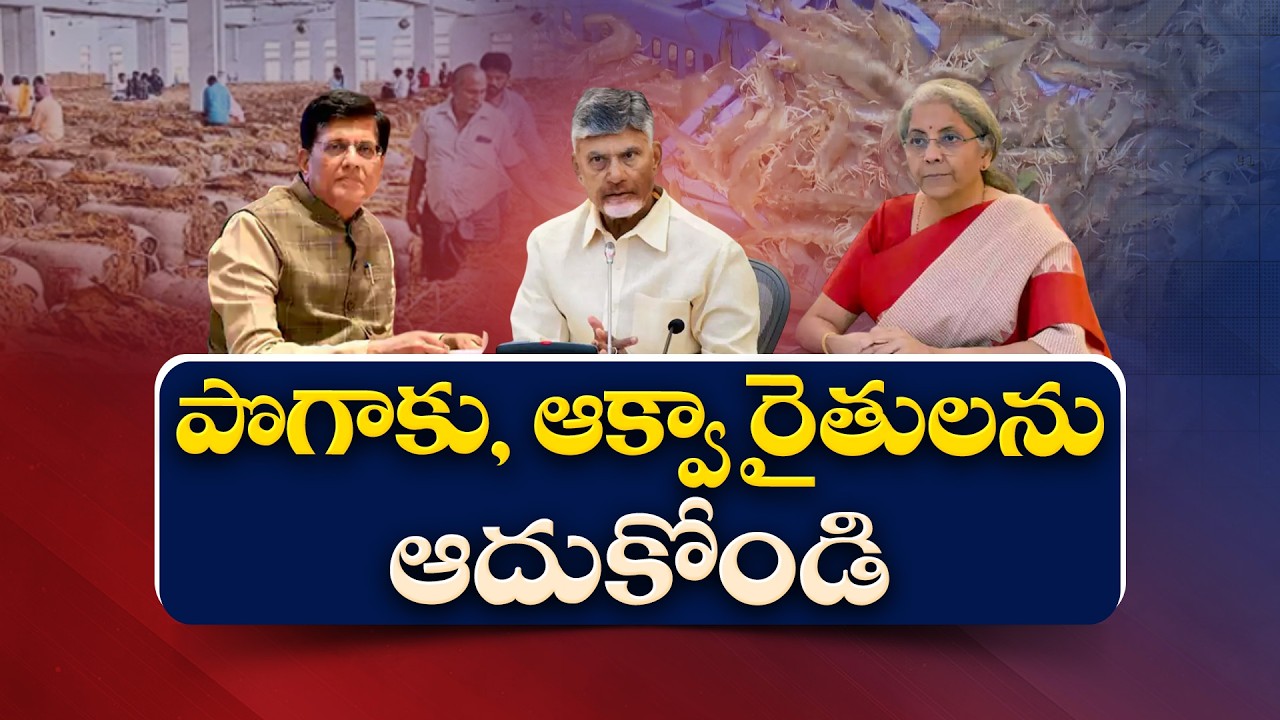CM Chandrababu Urges Centre to Address Crisis Faced by Tobacco and Aqua Farmers