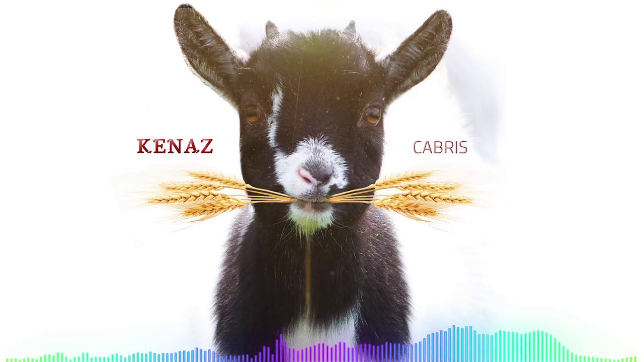 Kenaz - Cabris (Afro sound)