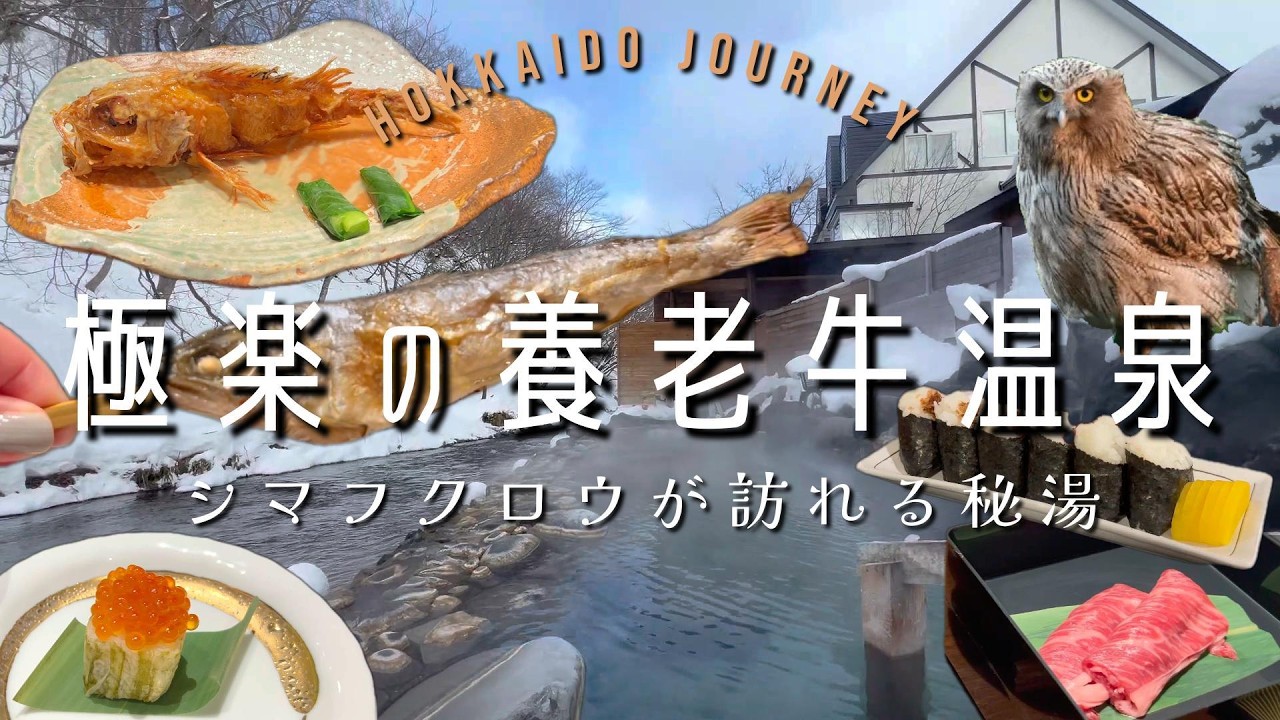 【中標津】シマフクロウが訪れる秘湯の宿【北海道】養老牛温泉 湯宿だいいち 露天風呂付き人気客室210号カワガラス 宿泊記