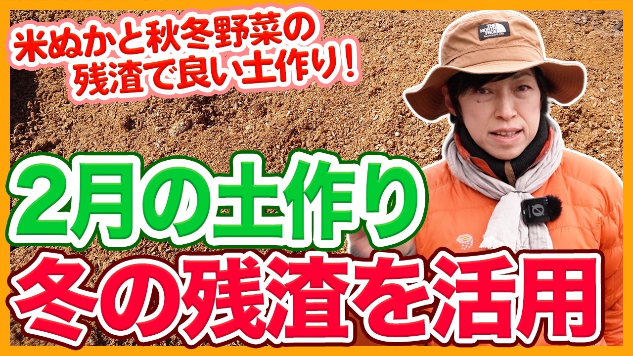 家庭菜園や農園の春夏野菜栽培は2月に土作り！秋冬野菜の残渣と米ぬかの有効活用と春夏野菜の育て方！【農家直伝】