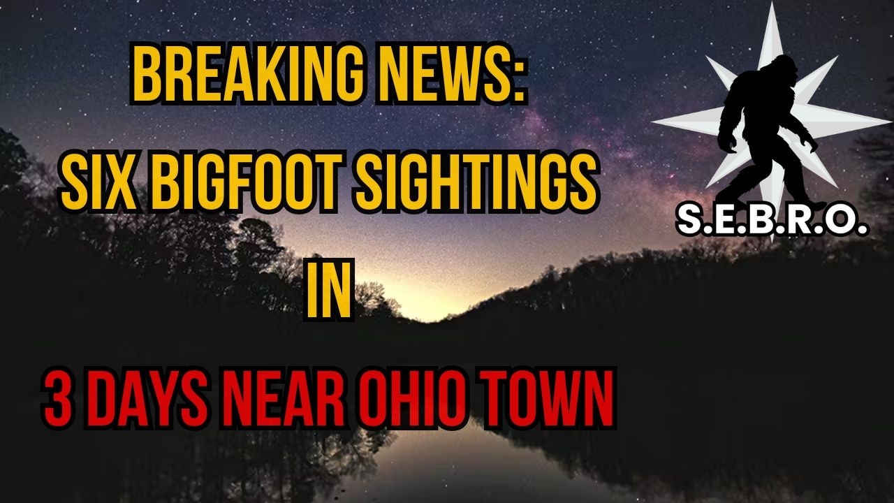 6 Bigfoot Sightings in 3 Days: The Mantua, Ohio Cluster Preliminary Investigation