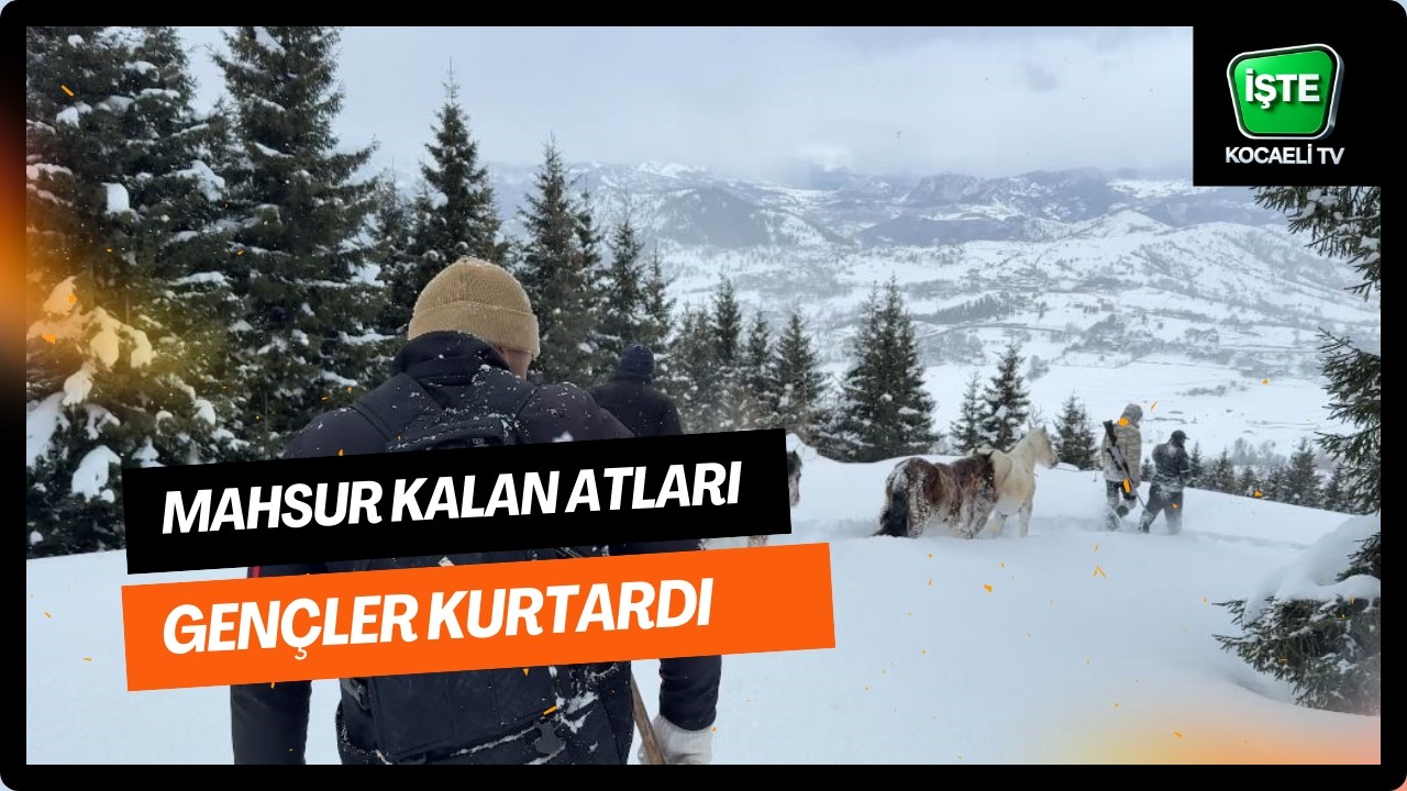 2 bin 100 rakımlı kışlada aylarca kar altında mahsur kalan atları köyün gençleri kurtardı #haber