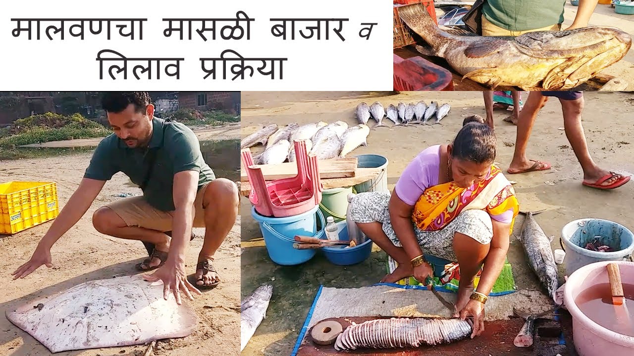मालवणचा मासळी बाजार व लिलाव प्रक्रिया | Malvan fish market