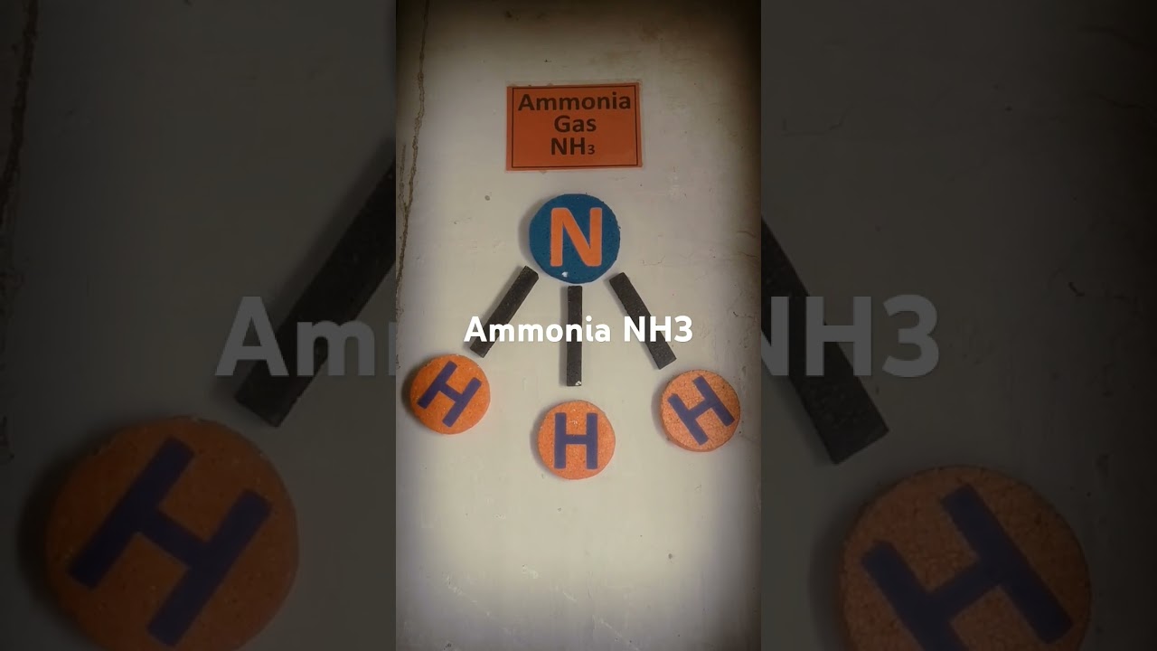 Structure of ammonia NH3. #chemistrylab