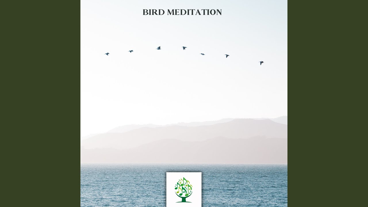 Bird Meditation