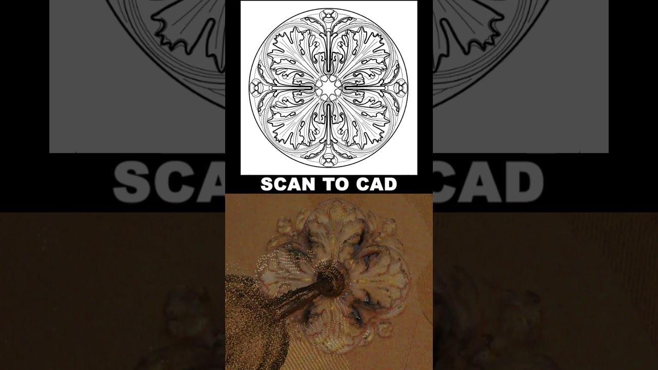 scan to 2d CAD 