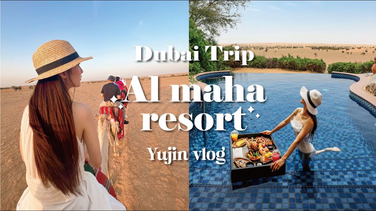 [두바이 여행]두바이 알마하 | 알마하 리조트 | 두바이 사막 리조트 | Al maha desert resort  | 알 마하 리조트