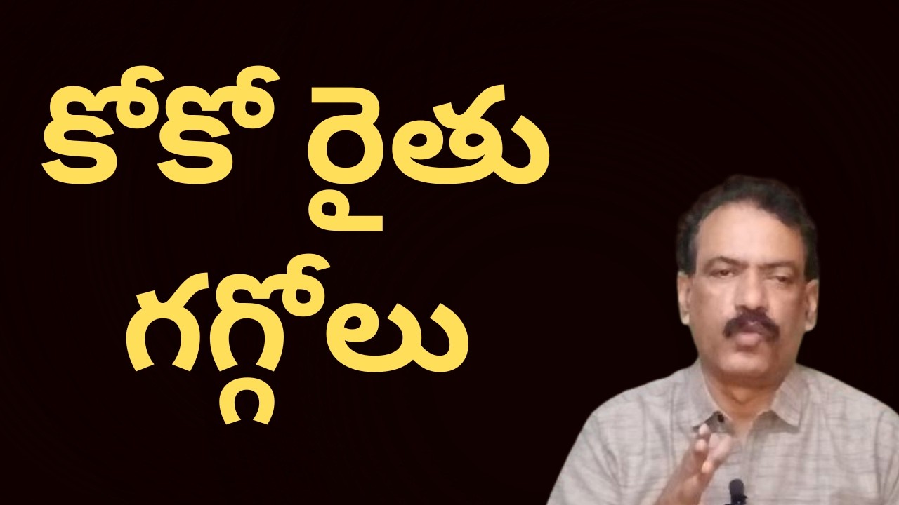 Cocoa Farming Row కోకో ధరలు అమాంతం పతనం #amazing Agriculture Technology Ground Report