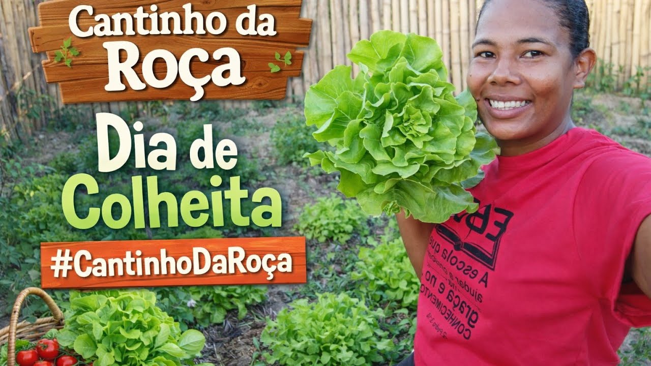 Vida simples mas um dia de colheita fartura abençoada no meu cantinho 😍