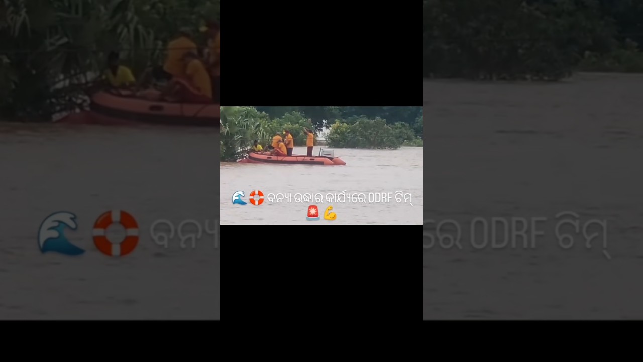 🌊🛟 Flood Rescue Operation | ODRF Team in Action! 🚨💪#ODRF #FloodRescue #RescueOperation