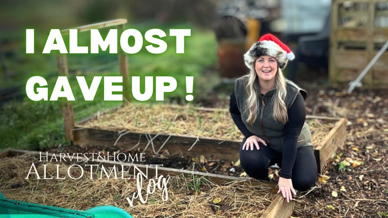 I Almost Gave Up | Losing Motivation After Loss on the Allotment (Real Life Vlog)