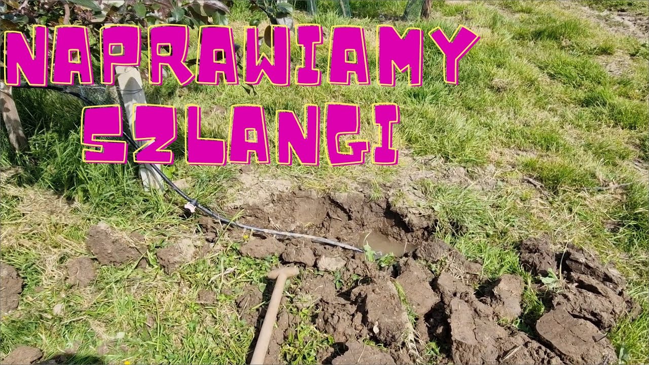 Niderlandy praca: Naprawiamy szlangi