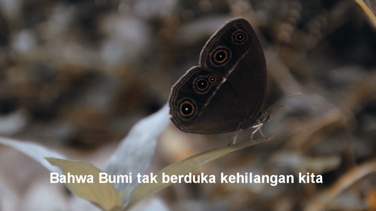 Armonica - Selamat Pagi Bumi - Official Musik Video