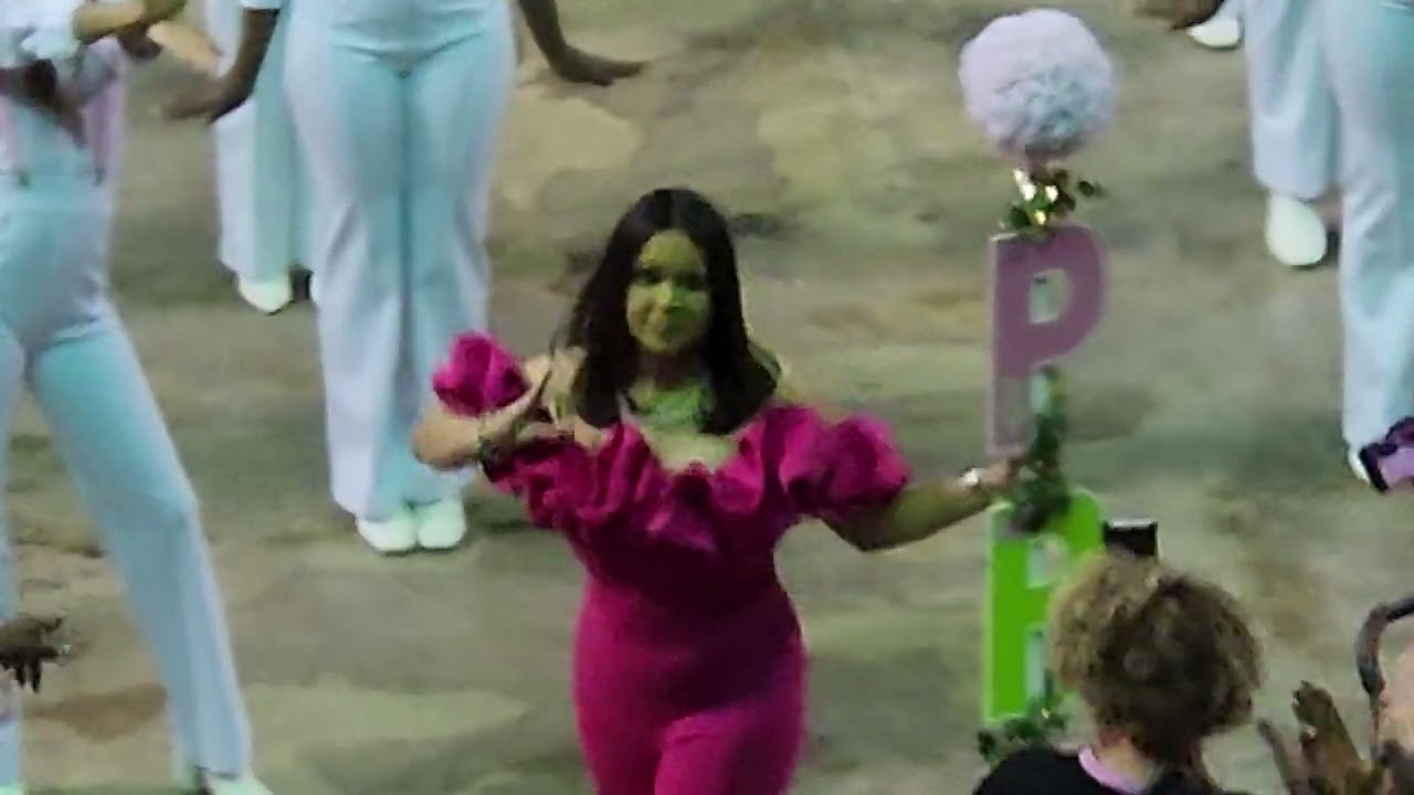 Alpha Kappa Alpha | Beta Psi Chapter Probate | Southern University