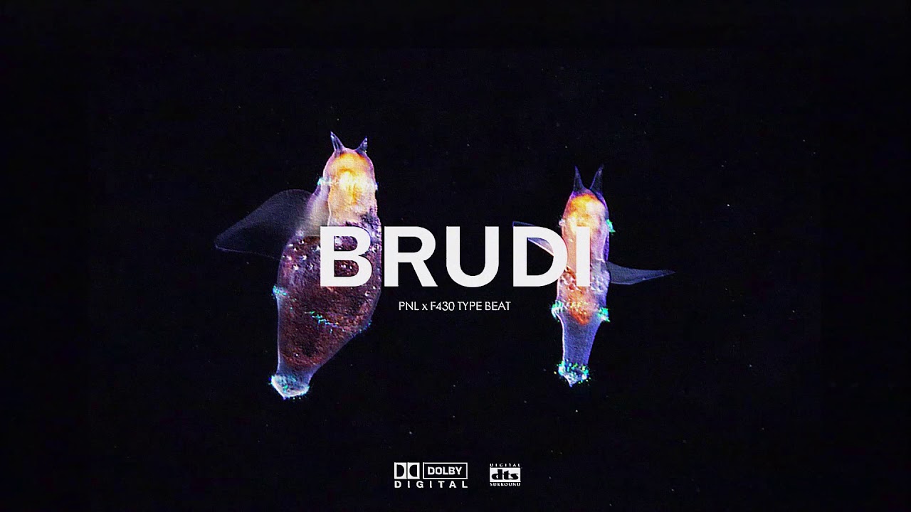 PNL x F430 Type Beat - BRUDI