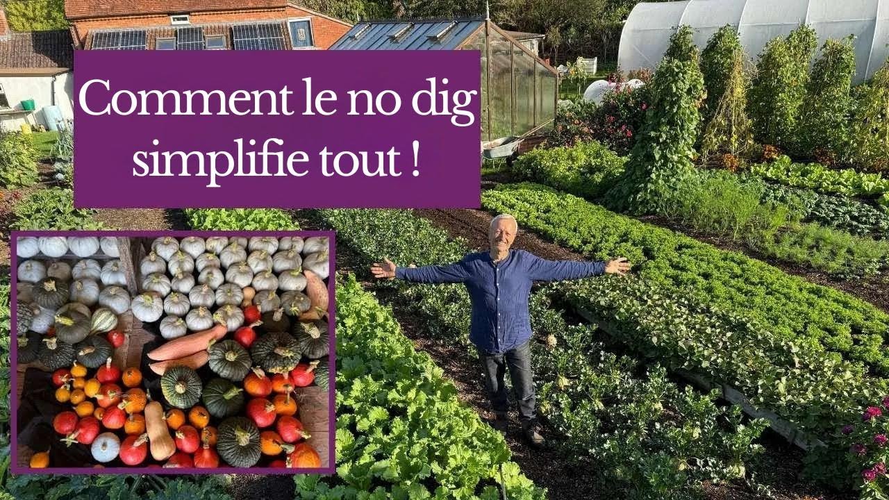 Avec la méthode sans labour, replantez tout l'été sans pause ! Preuves au rendez-vous