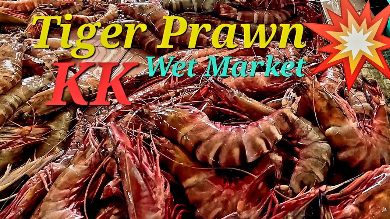 Pasar Ikan Kota Kinabalu Wet Market selling the freshest tiger prawn, squid, fish and other seafood👍